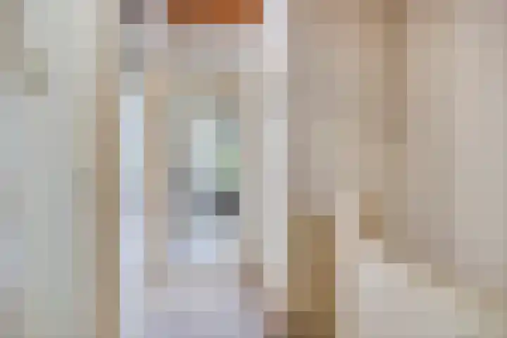 Speelhuislaan 86 Breda thumbnail 12
