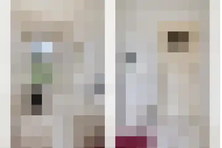 Speelhuislaan 86 Breda thumbnail 15