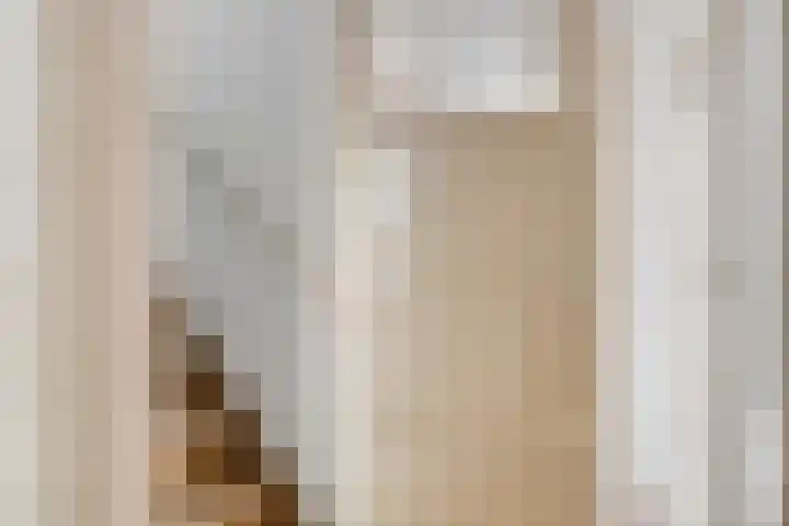 Speelhuislaan 86 Breda thumbnail 19