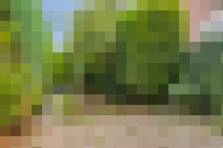 Speelhuislaan 86 Breda thumbnail 24
