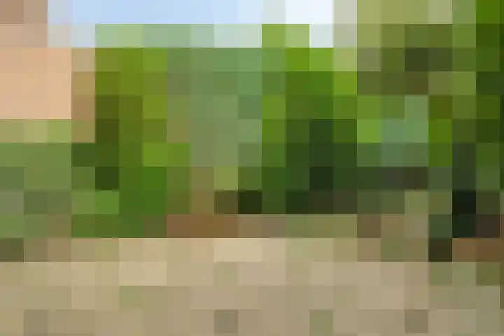 Speelhuislaan 86 Breda thumbnail 25