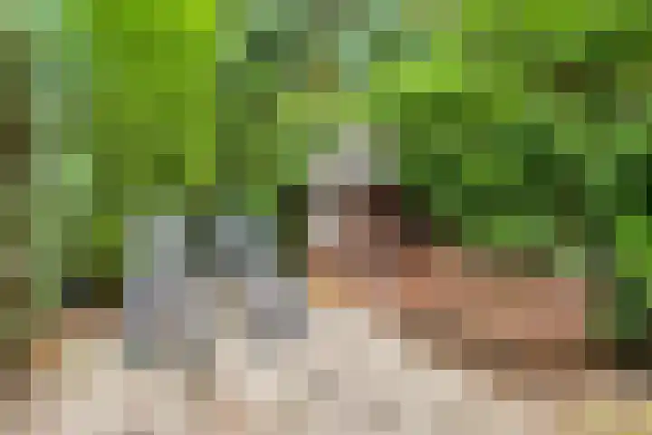 Speelhuislaan 86 Breda thumbnail 26