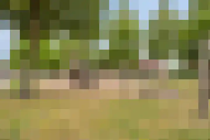 Speelhuislaan 86 Breda thumbnail 28