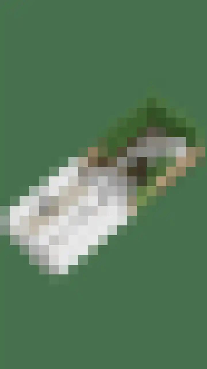 Speelhuislaan 86 Breda thumbnail 32