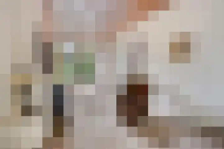 Speelhuislaan 86 Breda thumbnail 6