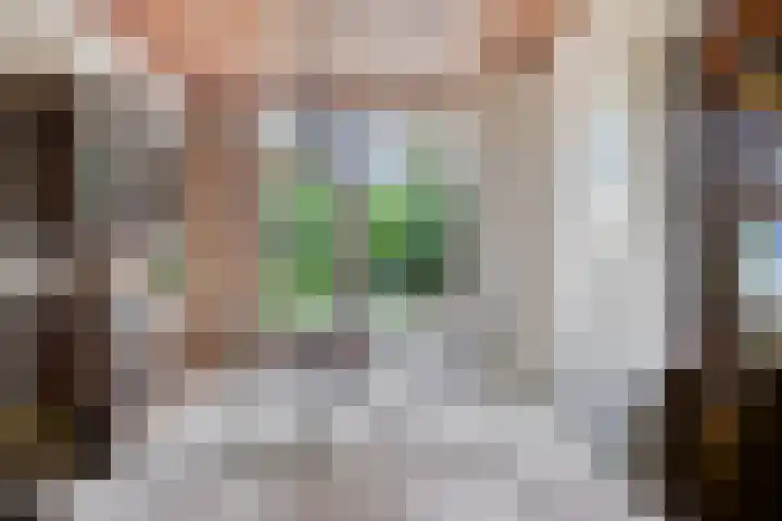 Speelhuislaan 86 Breda thumbnail 7