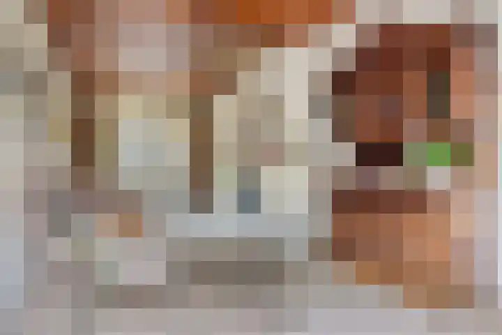 Speelhuislaan 86 Breda thumbnail 8