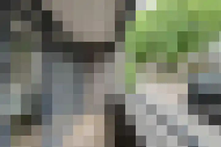 Speelhuislaan 94 Breda thumbnail 10