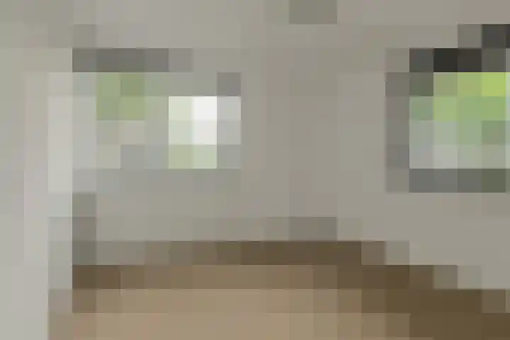 Speelhuislaan 94 Breda thumbnail 11