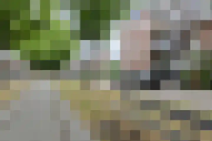 Speelhuislaan 94 Breda thumbnail 18