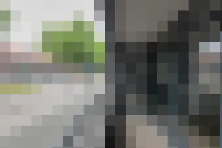 Speelhuislaan 94 Breda thumbnail 9