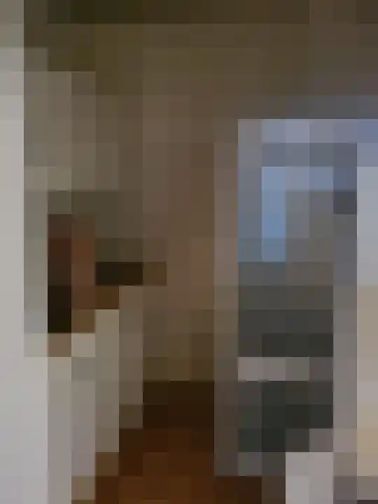 Speelhuislaan 95 Breda thumbnail 4