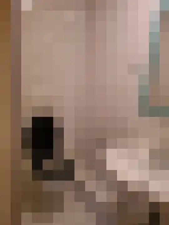 Speelhuislaan 95 Breda thumbnail 5