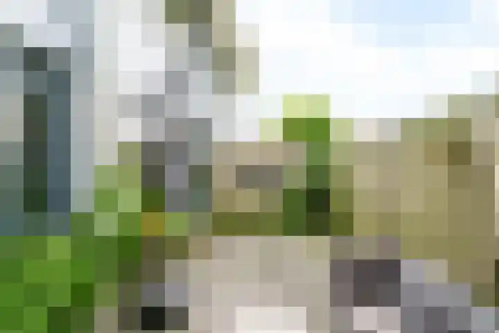 Speelkamp 24 b Leusden thumbnail 11
