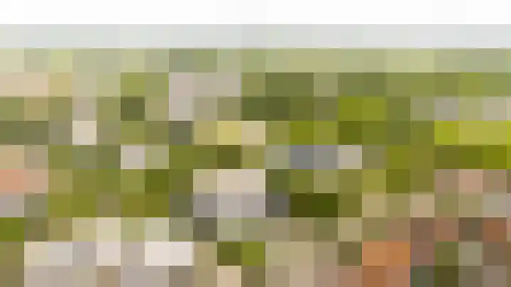 Speelkamp 24 b Leusden thumbnail 15