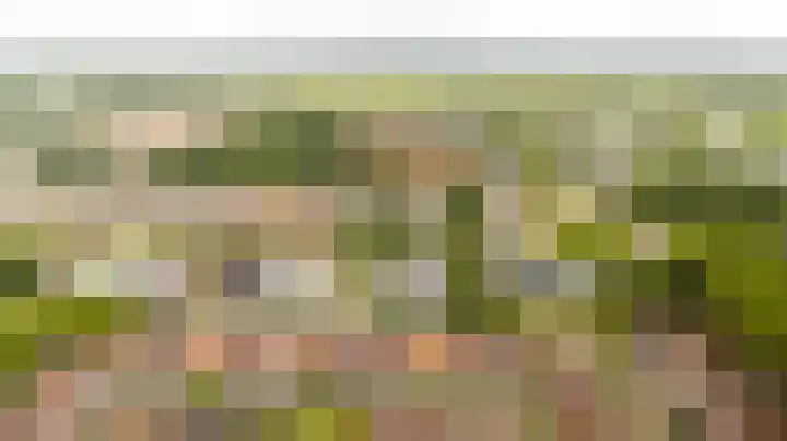 Speelkamp 24 b Leusden thumbnail 16