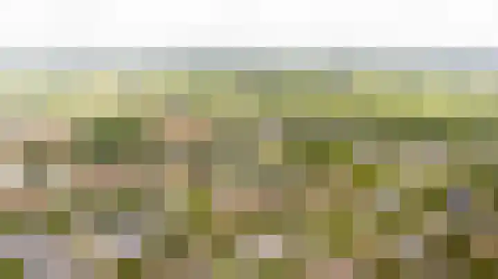 Speelkamp 24 b Leusden thumbnail 18