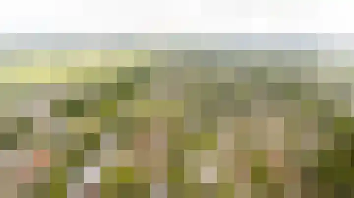 Speelkamp 24 b Leusden thumbnail 19