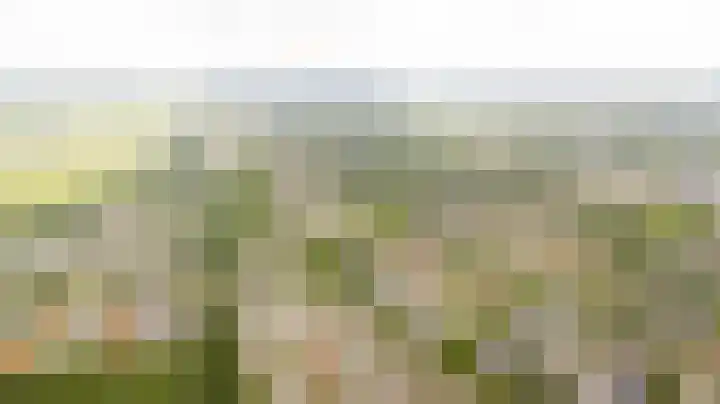 Speelkamp 24 b Leusden thumbnail 21