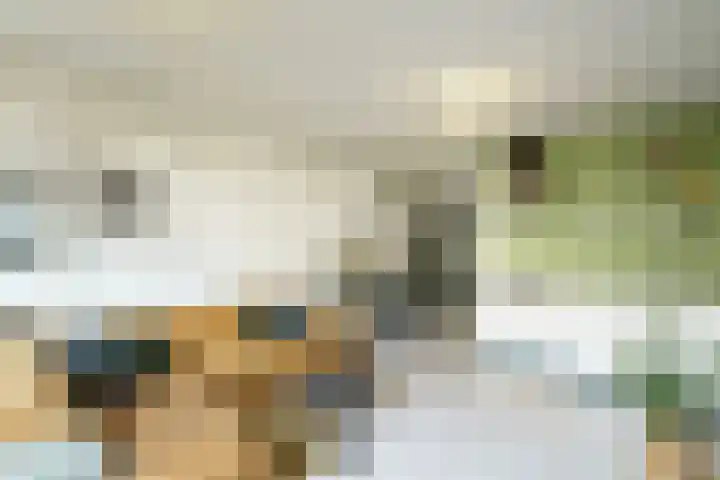 Speelkamp 24 b Leusden thumbnail 4