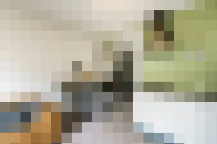 Speelkamp 24 b Leusden thumbnail 7