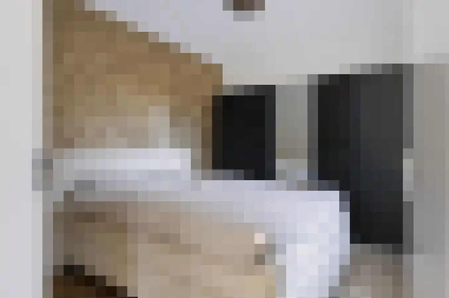 Speelkamp 24 c Leusden thumbnail 15
