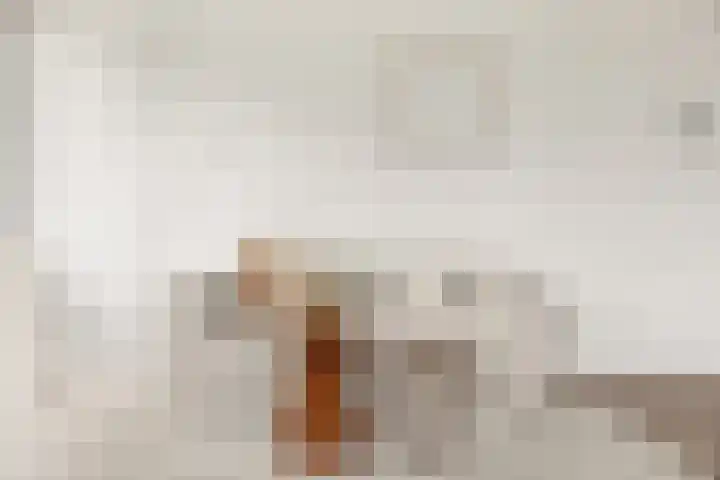 Speelkamp 24 j Leusden thumbnail 13