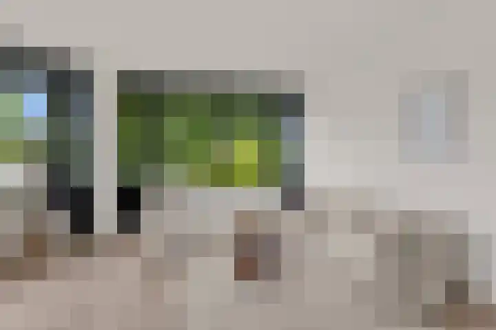 Speelkamp 24 j Leusden thumbnail 15