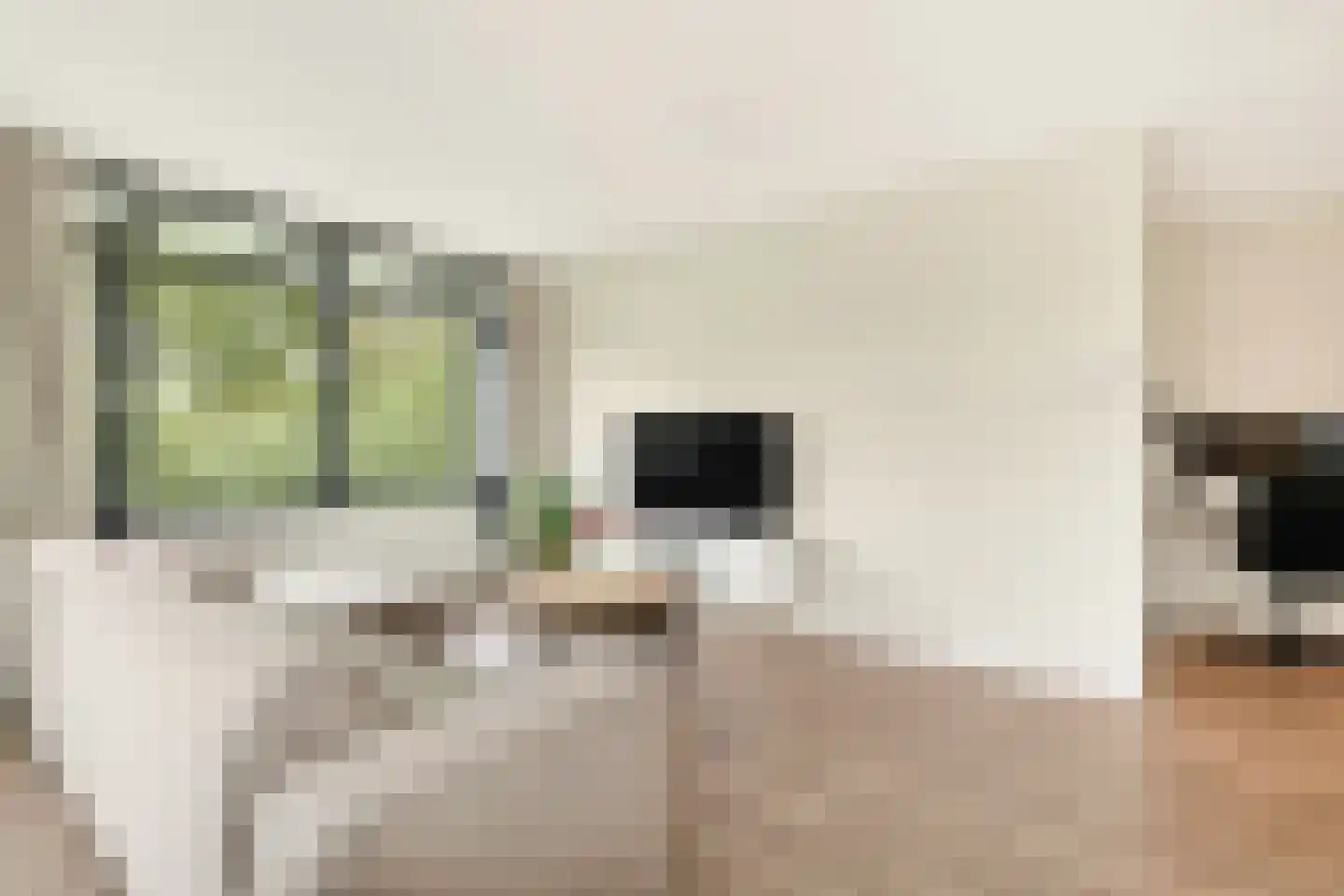 Speelkamp 24 j Leusden thumbnail 19