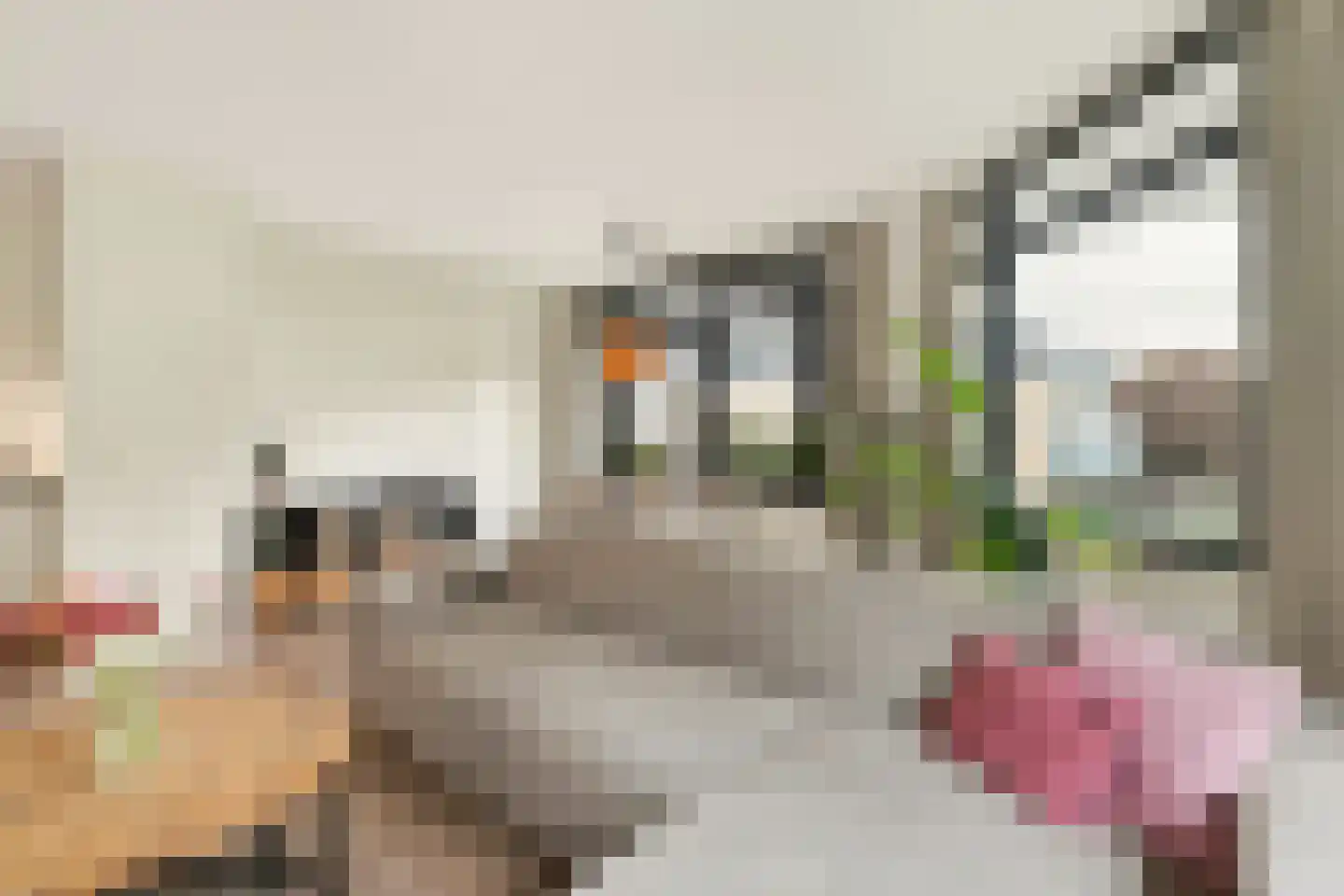 Speelkamp 24 j Leusden thumbnail 21