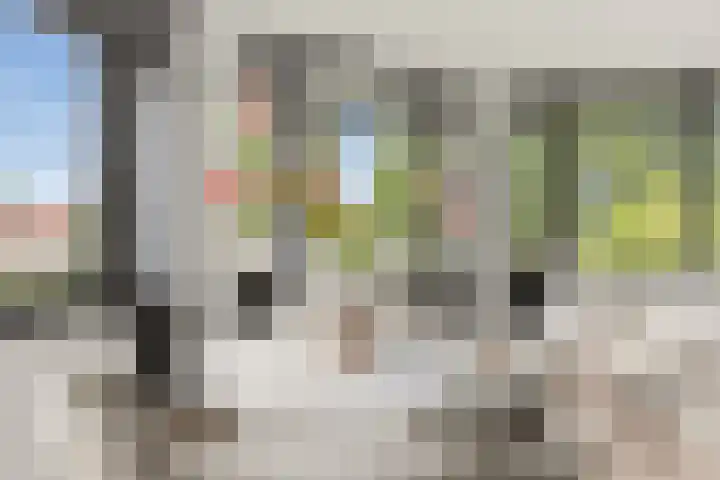 Speelkamp 24 j Leusden thumbnail 9