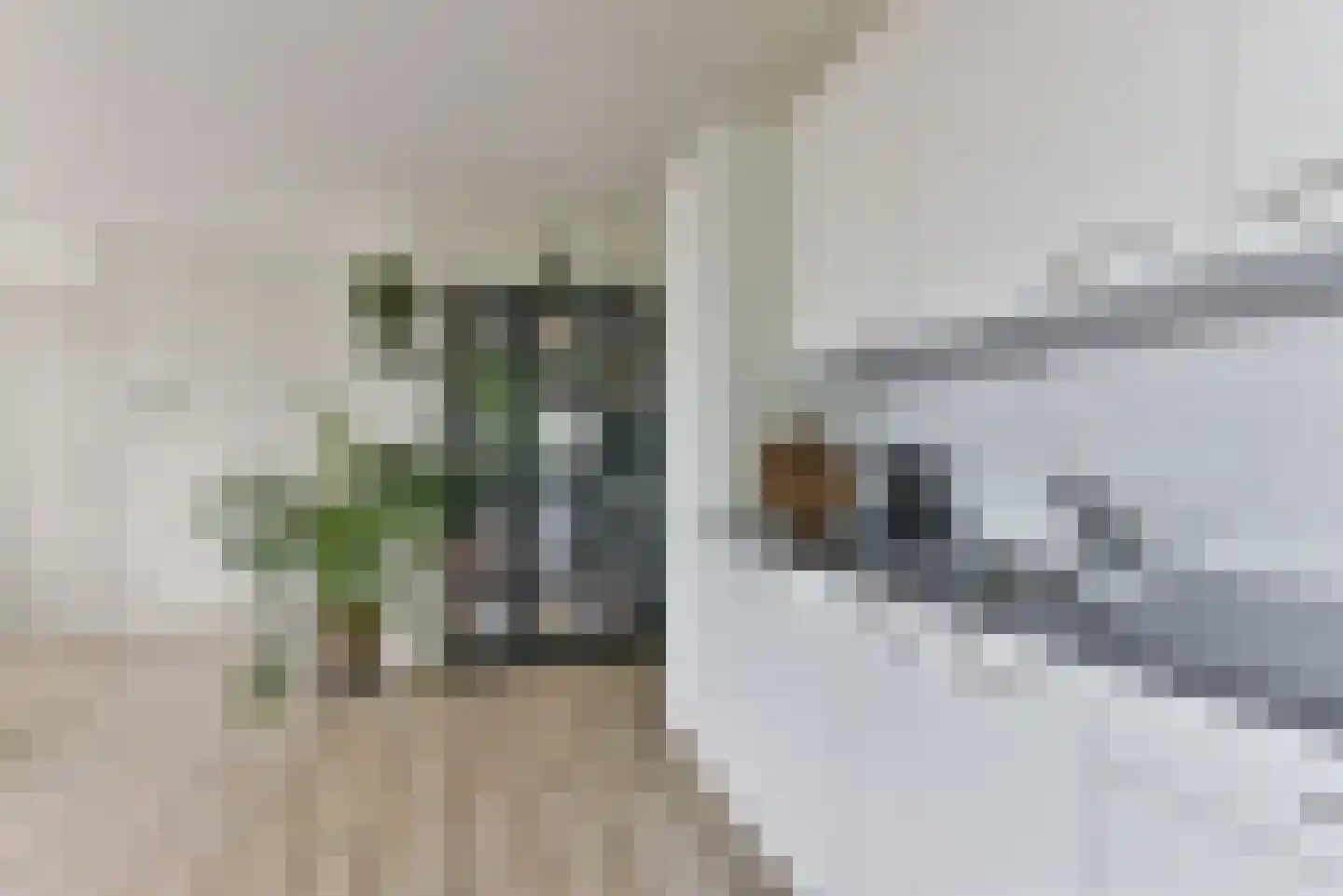 Speelkamp 24 t Leusden thumbnail 9