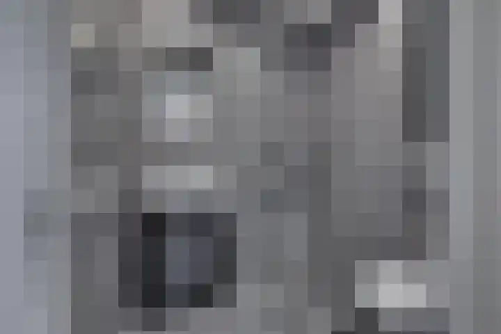 Speelkamp 26 a Leusden thumbnail 14