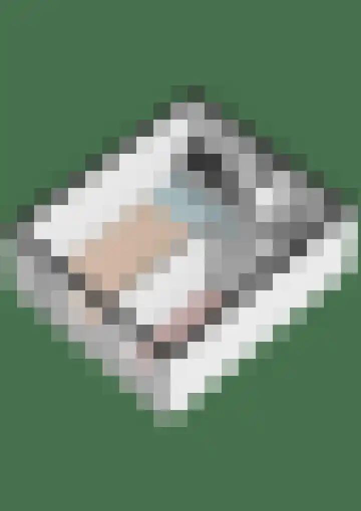 Speelkamp 26 a Leusden thumbnail 18