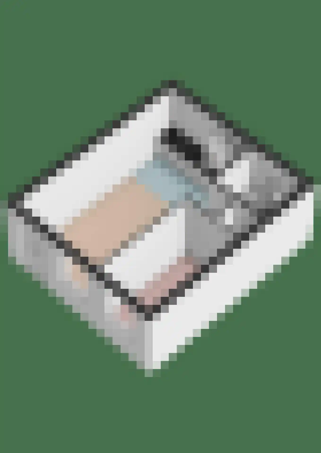 Speelkamp 26 a Leusden thumbnail 18