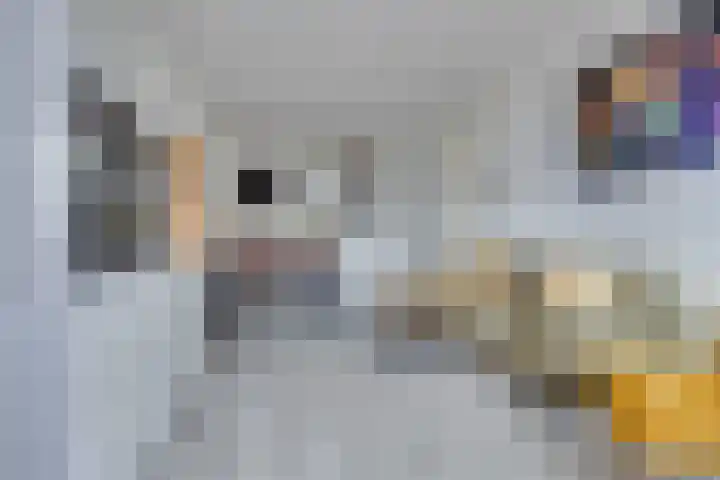 Speelkamp 26 a Leusden thumbnail 6