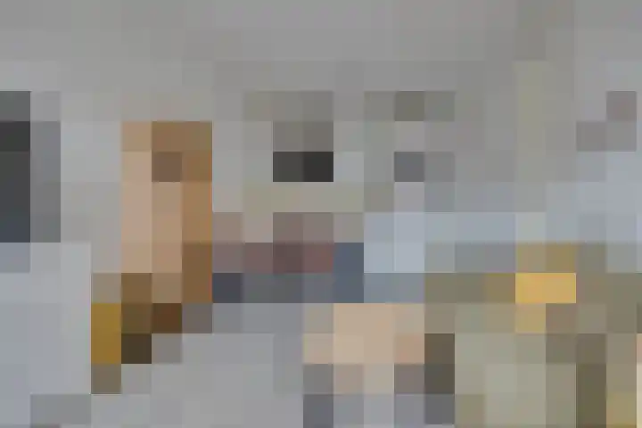 Speelkamp 26 a Leusden thumbnail 7