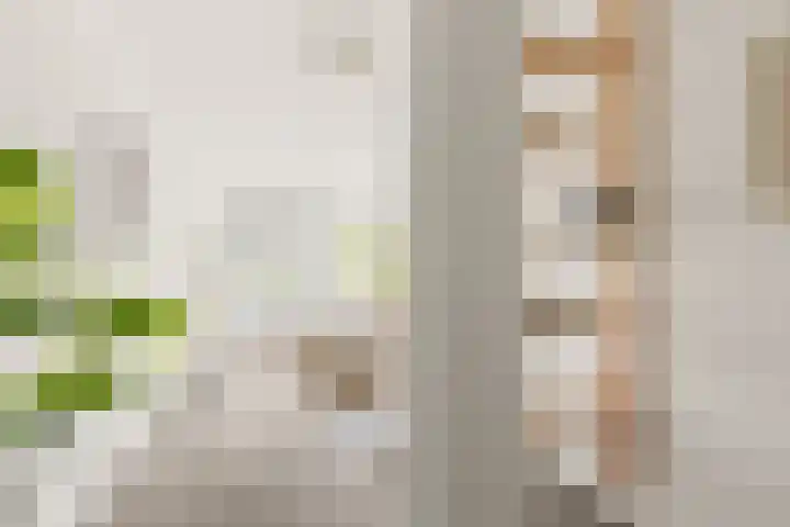 Speelkamp 26 f Leusden thumbnail 23