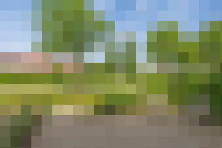 Speelkamp 26 f Leusden thumbnail 25