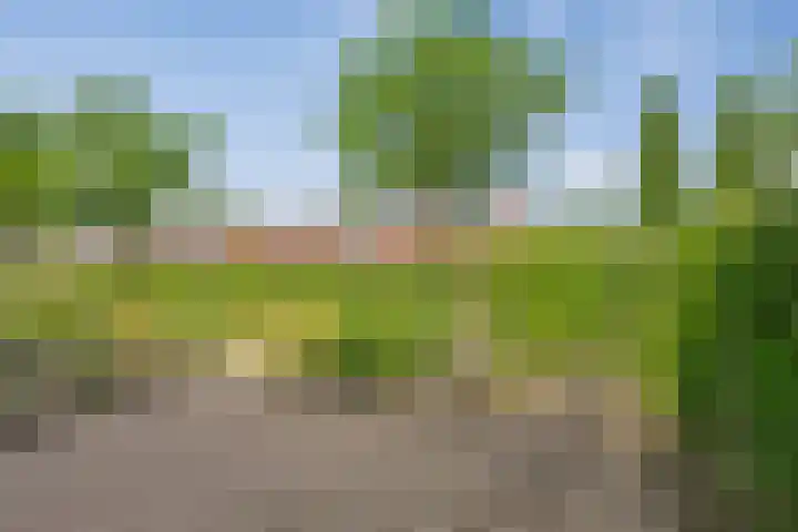 Speelkamp 26 f Leusden thumbnail 26