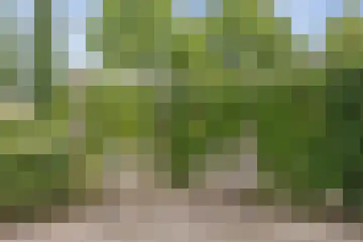 Speelkamp 26 f Leusden thumbnail 27