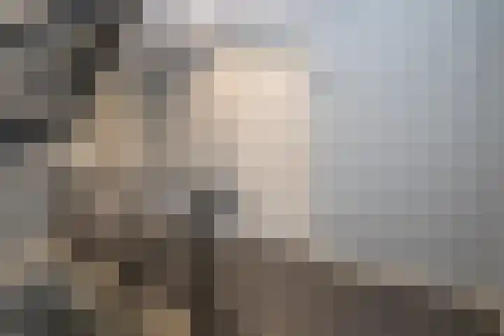 Speelkamp 26 r Leusden thumbnail 10