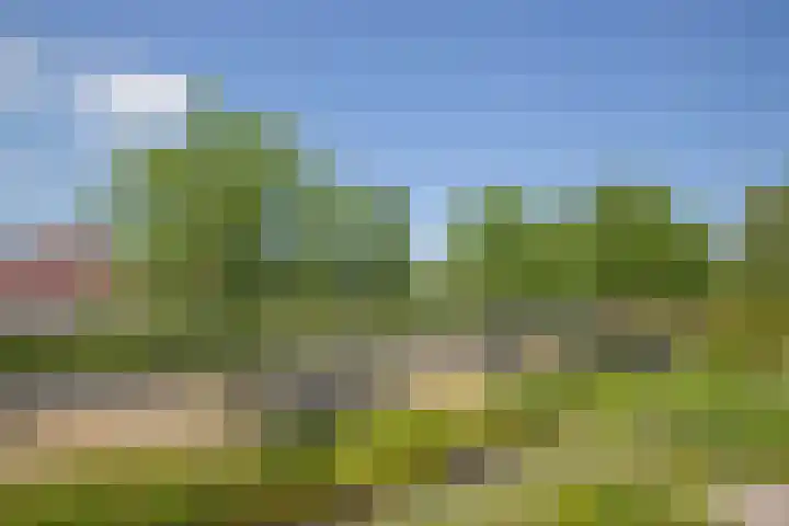 Speelkamp 26 r Leusden thumbnail 23