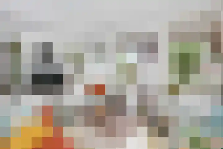 Speelkamp 26 s Leusden thumbnail 10
