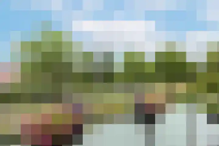 Speelkamp 26 s Leusden thumbnail 12