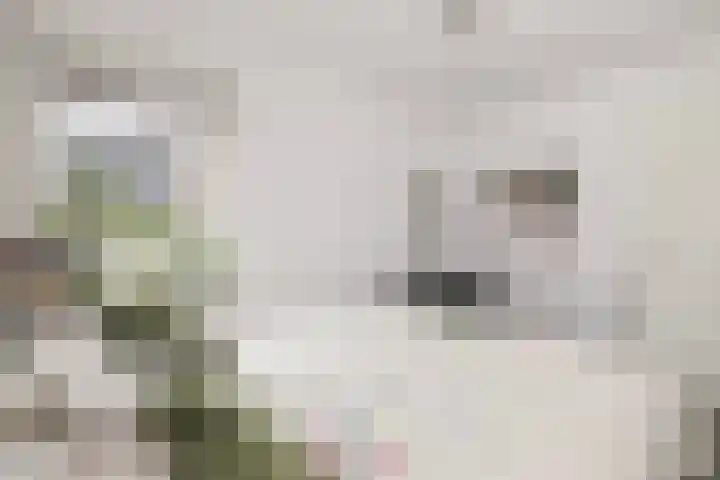 Speelkamp 26 s Leusden thumbnail 16