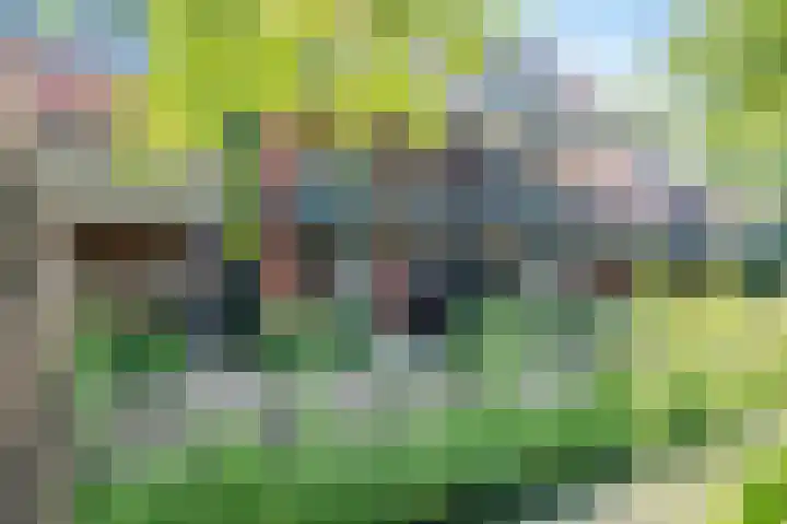 Speelkamp 28 f Leusden thumbnail 20