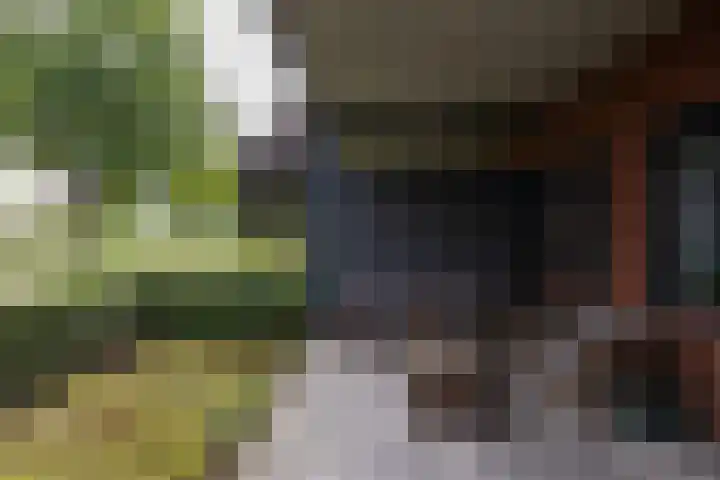 Speelkamp 28 g Leusden thumbnail 16