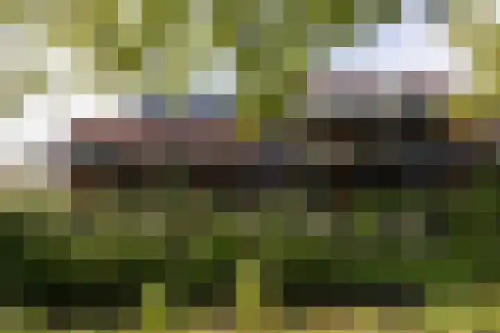 Speelkamp 28 g Leusden thumbnail 18