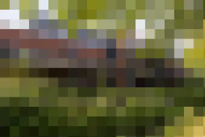 Speelkamp 28 g Leusden thumbnail 19
